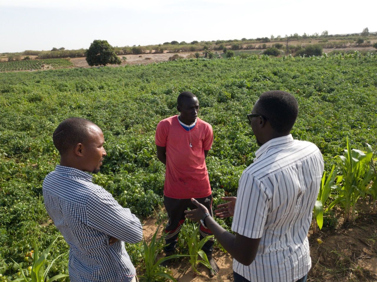 The challenges of sourcing 6000 tons of peanuts propel me to start Afrikamart in Senegal